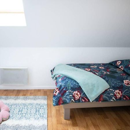 Duplex Tout Equipe, Proche Centre-Ville Colmar, Parking Екстериор снимка