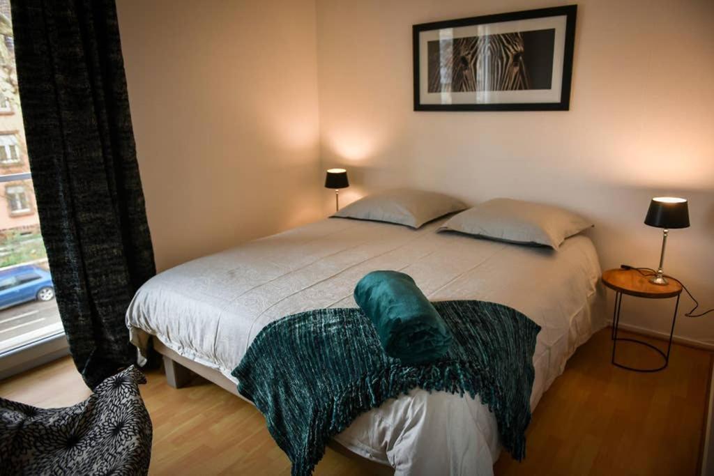 Duplex Tout Equipe, Proche Centre-Ville Colmar, Parking Екстериор снимка
